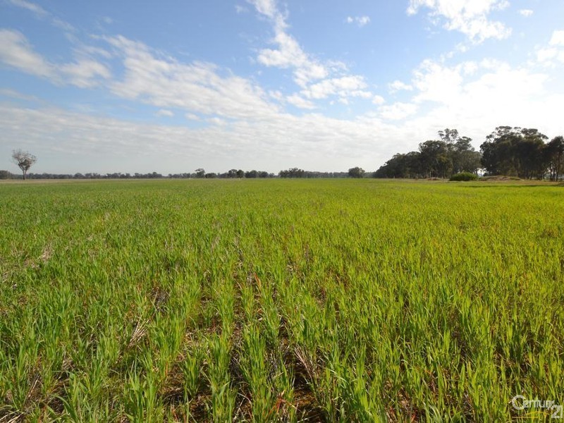 1128 Geodetic Road, Euroa VIC 3666