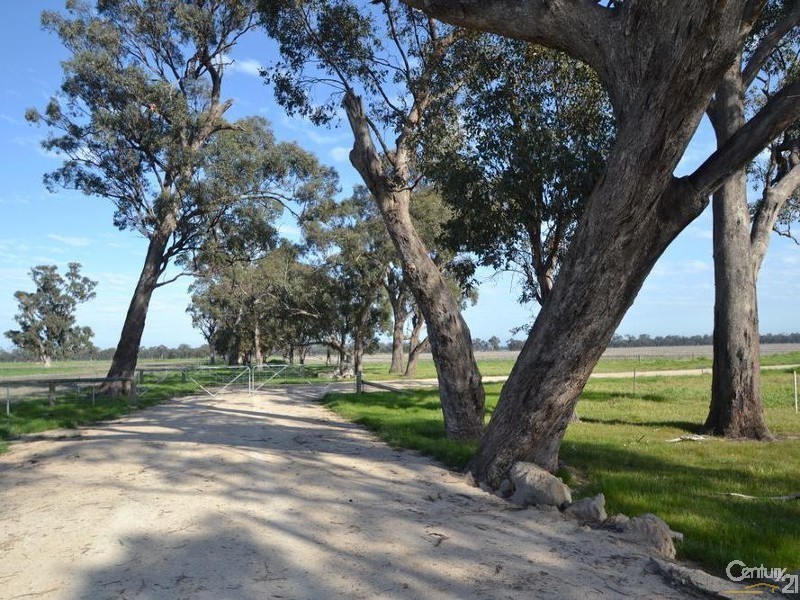 1128 Geodetic Road, Euroa VIC 3666