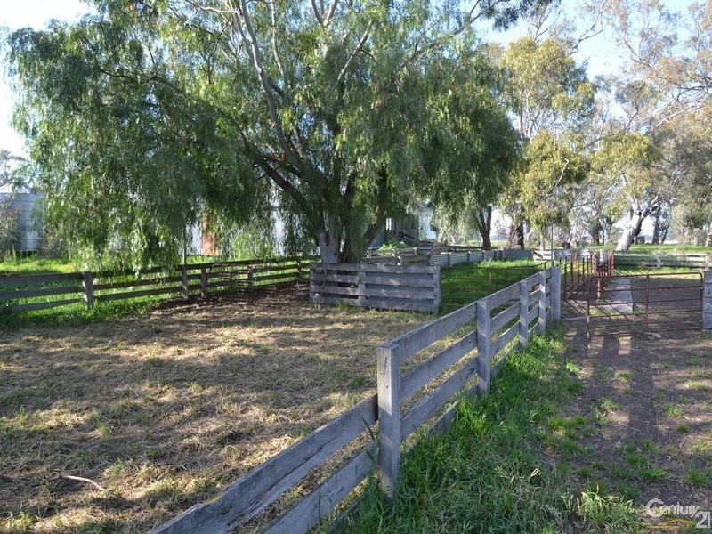 1128 Geodetic Road, Euroa VIC 3666