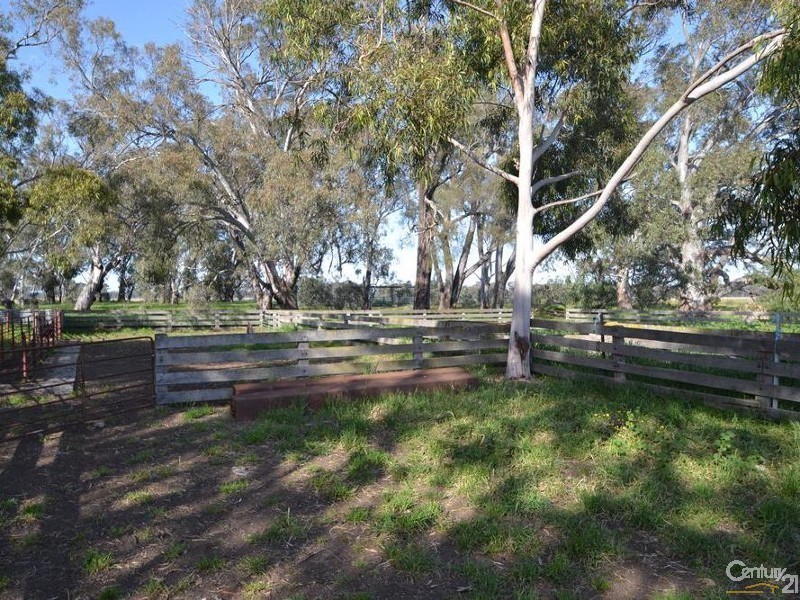 1128 Geodetic Road, Euroa VIC 3666