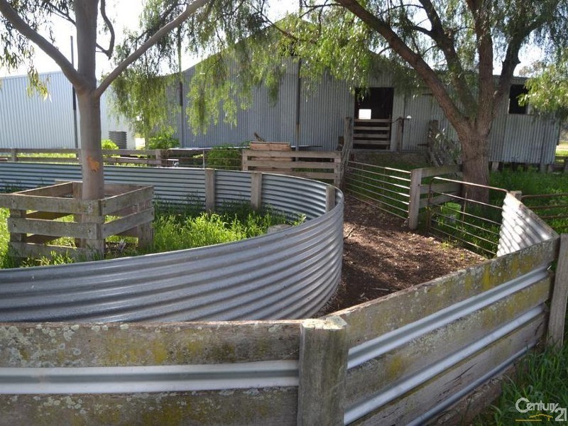 1128 Geodetic Road, Euroa VIC 3666