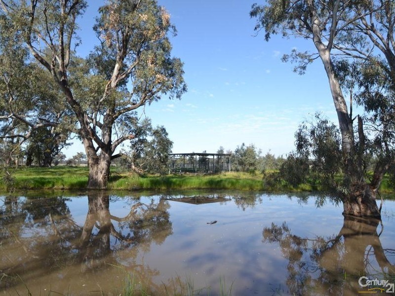 1128 Geodetic Road, Euroa VIC 3666