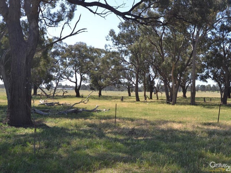 0 Corner Twenty Four Lane and Beer Road, Moama NSW 2731