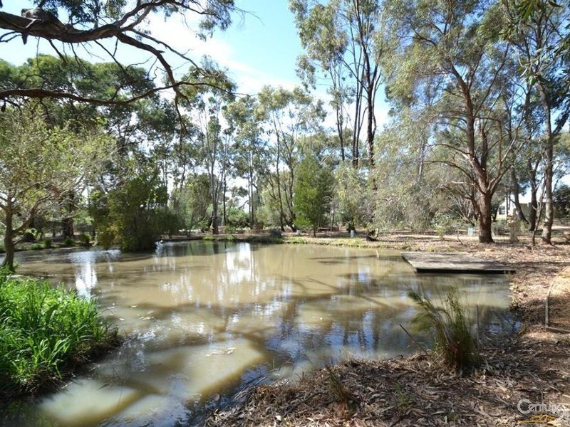 1487 Mount Terrick Road, Echuca VIC 3564