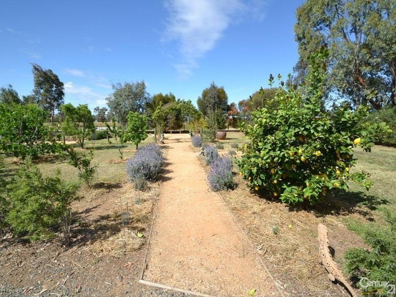 1487 Mount Terrick Road, Echuca VIC 3564