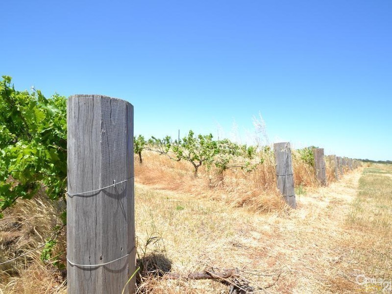 230 233 Tandarra Road, Moama NSW 2731