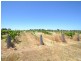 230 233 Tandarra Road, Moama NSW 2731