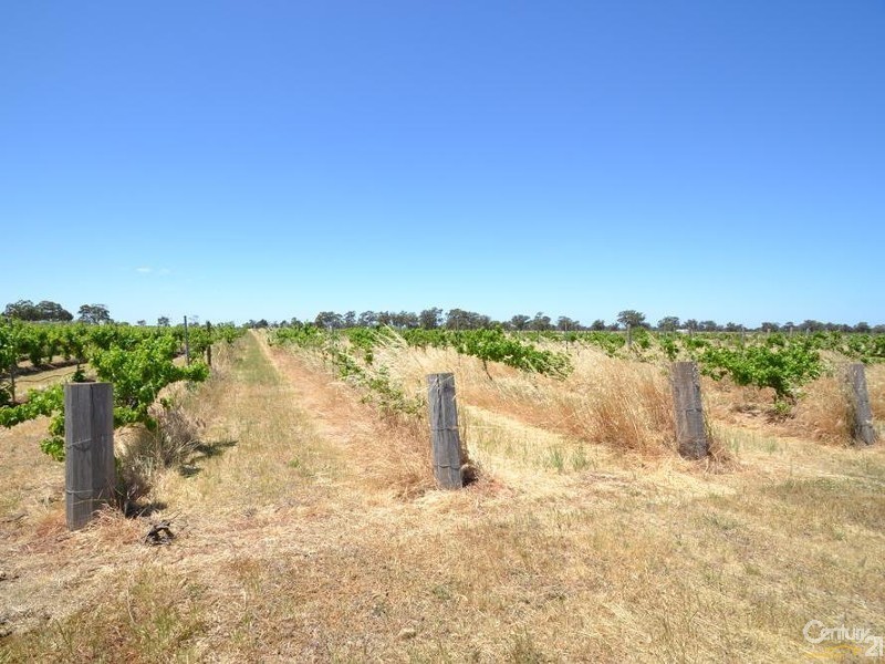 230 233 Tandarra Road, Moama NSW 2731