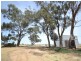230 233 Tandarra Road, Moama NSW 2731