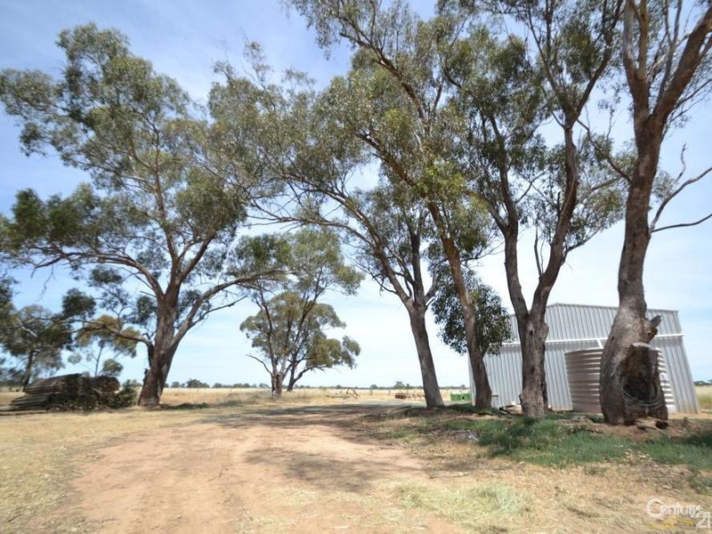 230 233 Tandarra Road, Moama NSW 2731