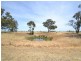 230 233 Tandarra Road, Moama NSW 2731