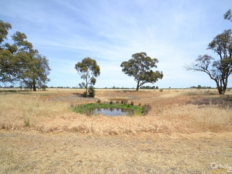 230 233 Tandarra Road, Moama NSW 2731