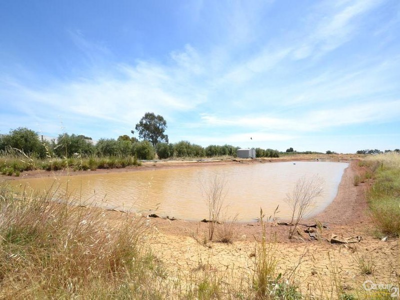 230 233 Tandarra Road, Moama NSW 2731