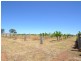 230 233 Tandarra Road, Moama NSW 2731