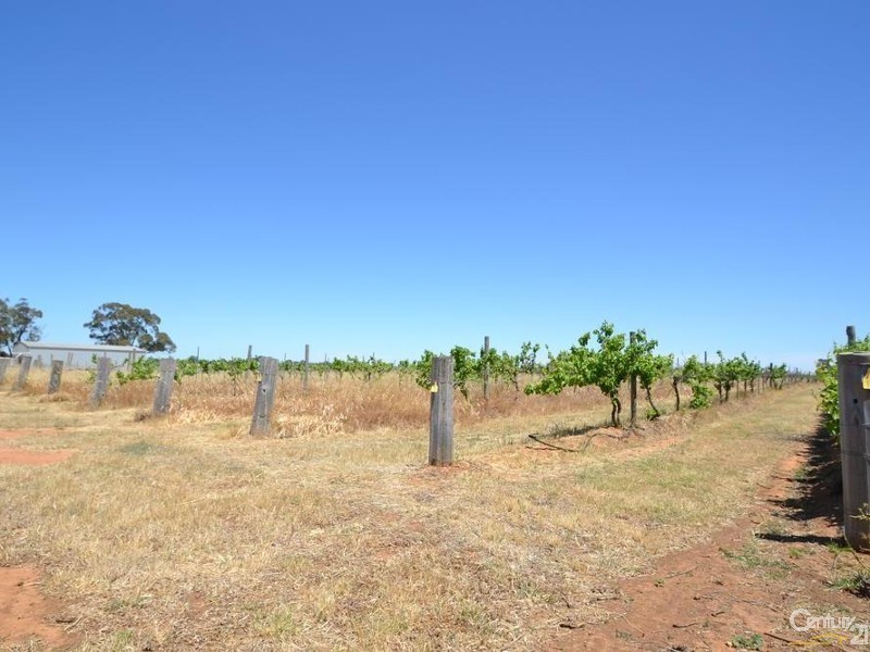 230 233 Tandarra Road, Moama NSW 2731