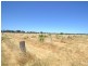 230 233 Tandarra Road, Moama NSW 2731