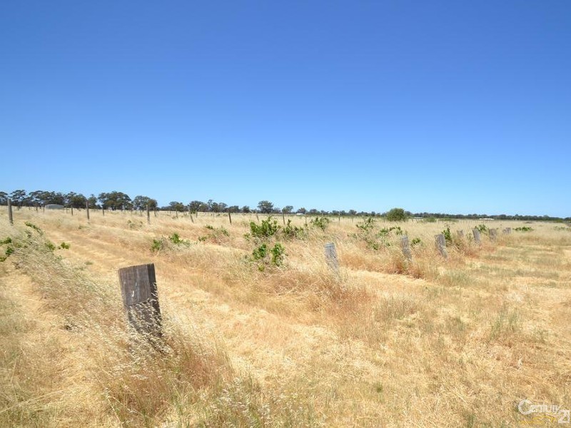 230 233 Tandarra Road, Moama NSW 2731