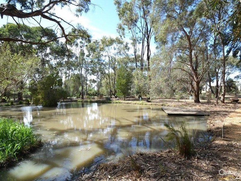 1487 Mount Terrick Road, Echuca VIC 3564
