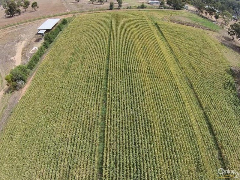 1049 Perricoota Road, Moama NSW 2731