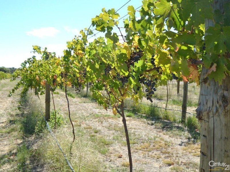 Lot 1 -30 Riverview Drive, Barham NSW 2732