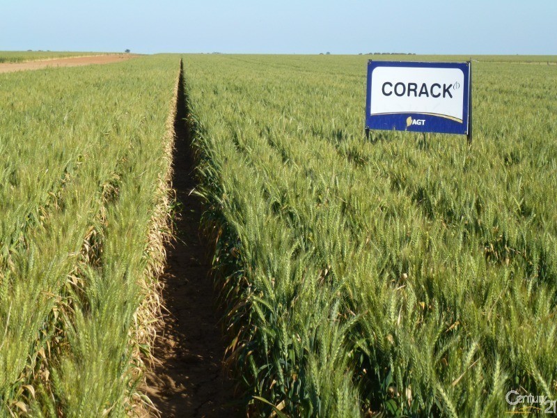 0 Superior Seed Co. Barham Rd, Deniliquin NSW 2710