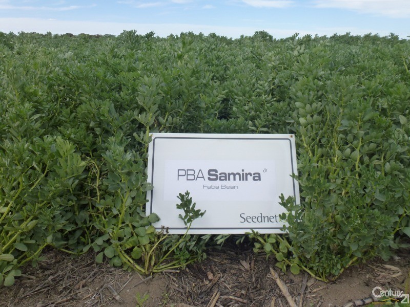 0 Superior Seed Co. Barham Rd, Deniliquin NSW 2710