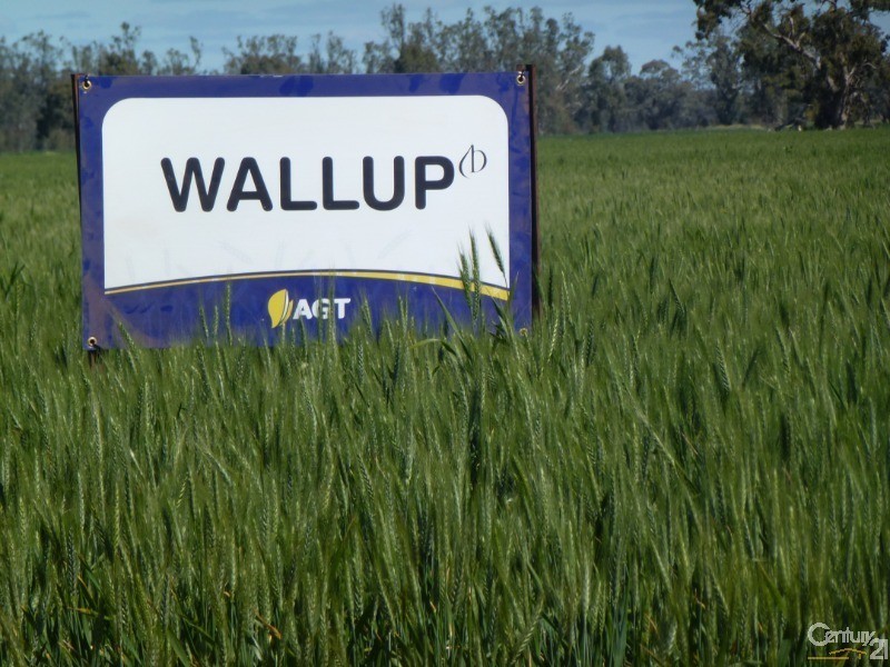 0 Superior Seed Co. Barham Rd, Deniliquin NSW 2710