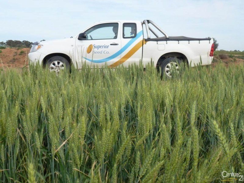 0 Superior Seed Co. Barham Rd, Deniliquin NSW 2710