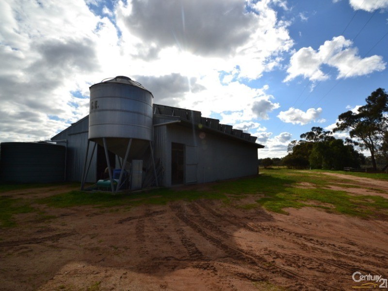 30 Catanese Road, Gunbower VIC 3566