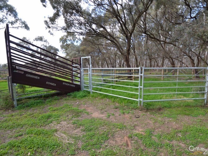 30 Catanese Road, Gunbower VIC 3566