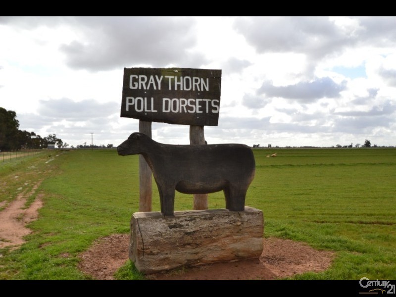 2002 Bunnaloo Road, Mathoura NSW 2710