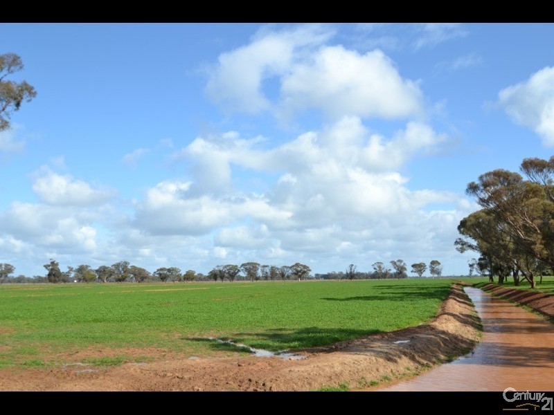 2002 Bunnaloo Road, Mathoura NSW 2710