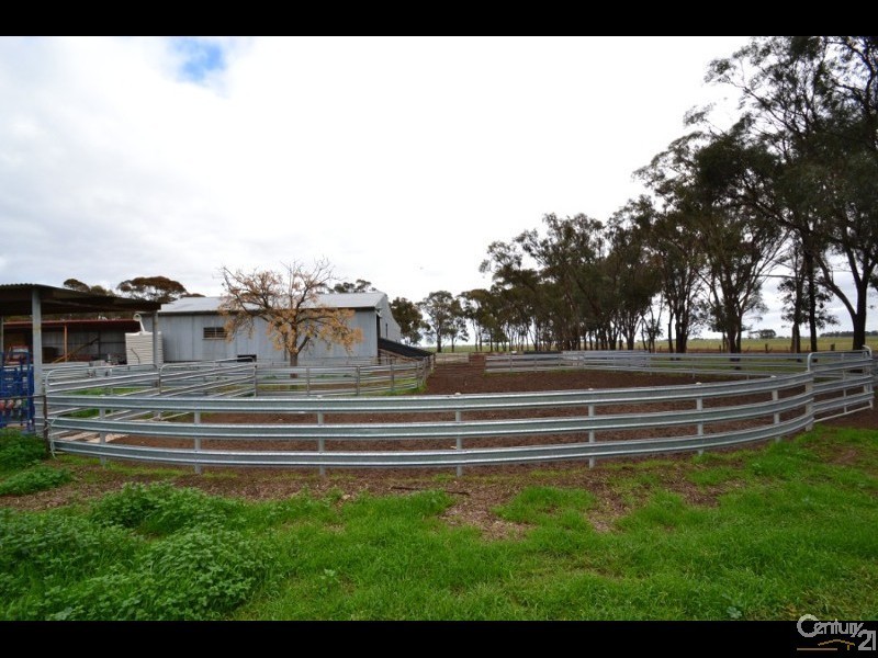 2002 Bunnaloo Road, Mathoura NSW 2710