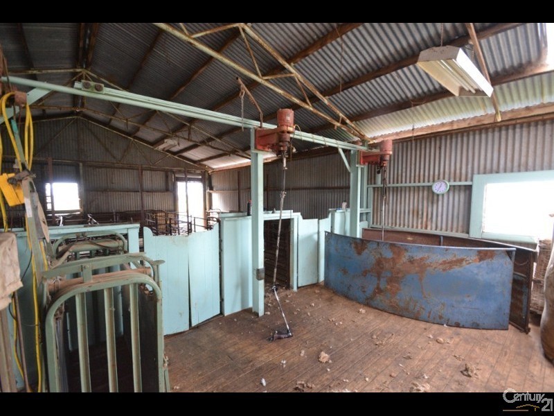 2002 Bunnaloo Road, Mathoura NSW 2710