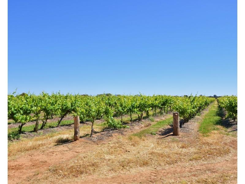 Unit 32 / 162 Perricoota Road, Moama NSW 2731