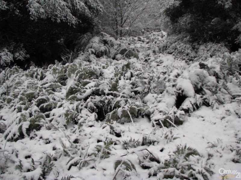 121 Alton Road, Mount Macedon VIC 3441