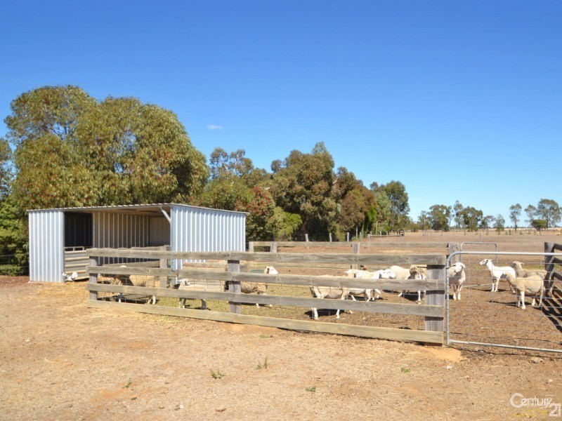 7668 Northern Highway, Echuca VIC 3564