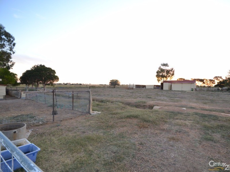 928 Henderson Road, Tongala VIC 3621