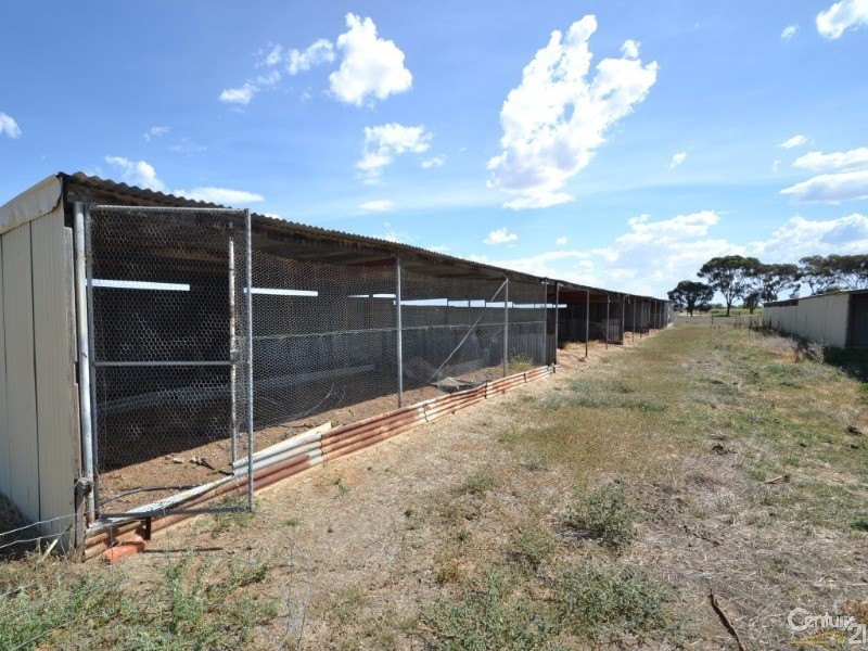 928 Henderson Road, Tongala VIC 3621