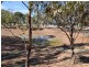 698 Thyra Road, Moama NSW 2731