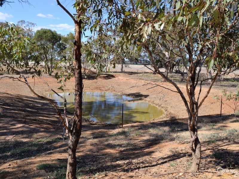 698 Thyra Road, Moama NSW 2731