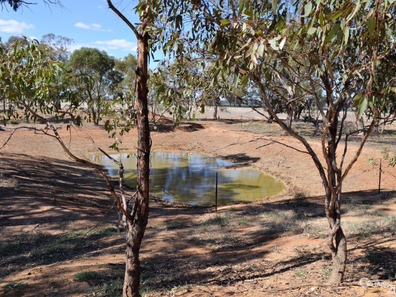 698 Thyra Road, Moama NSW 2731