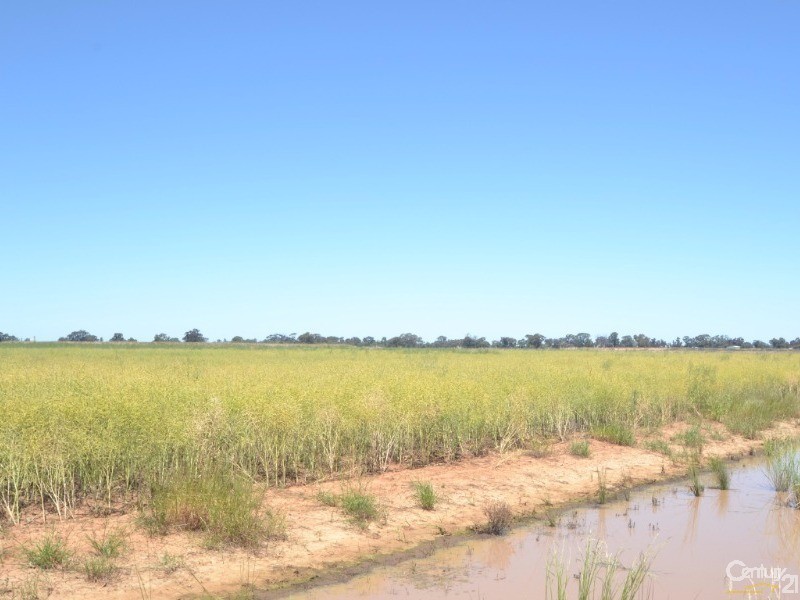 480 ‘Gardenvale’ RMB 480 Bunnaloo Via, Moama NSW 2731