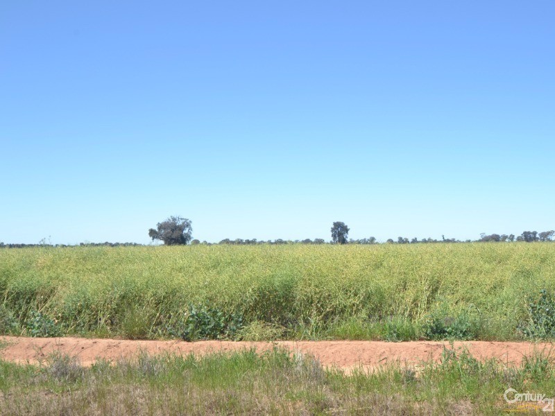 480 ‘Gardenvale’ RMB 480 Bunnaloo Via, Moama NSW 2731