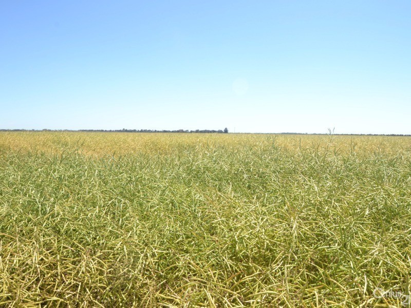 480 ‘Gardenvale’ RMB 480 Bunnaloo Via, Moama NSW 2731