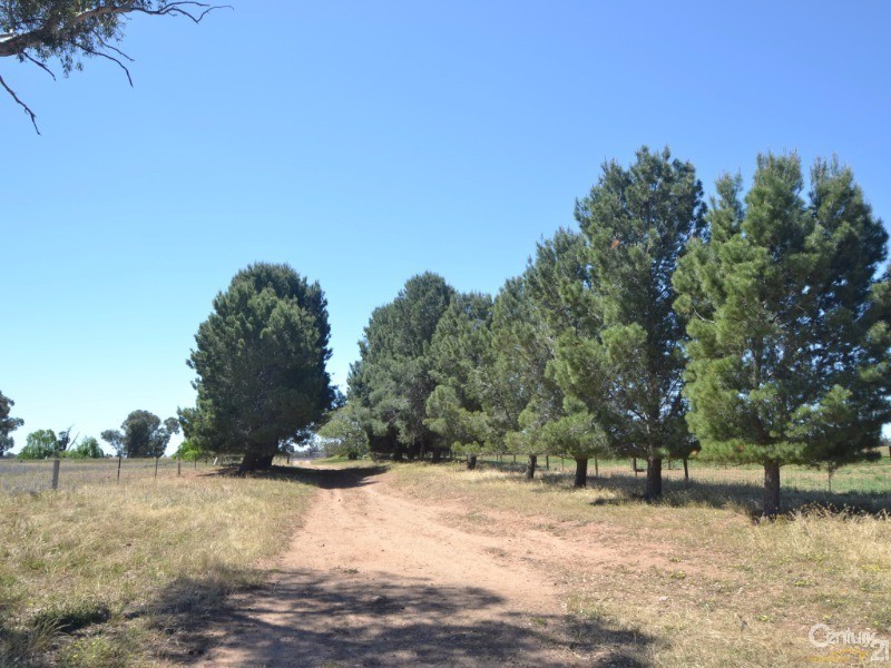 480 ‘Gardenvale’ RMB 480 Bunnaloo Via, Moama NSW 2731