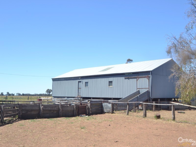 480 ‘Gardenvale’ RMB 480 Bunnaloo Via, Moama NSW 2731