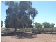 480 ‘Gardenvale’ RMB 480 Bunnaloo Via, Moama NSW 2731