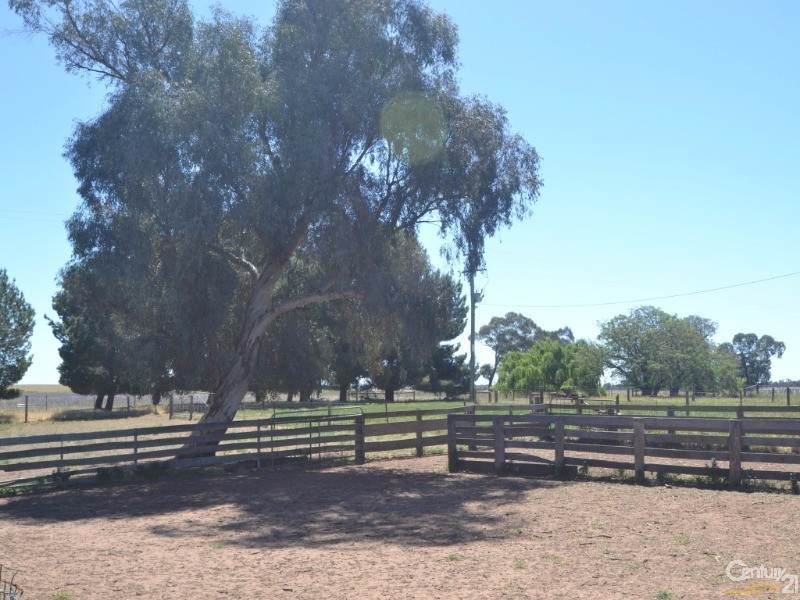 480 ‘Gardenvale’ RMB 480 Bunnaloo Via, Moama NSW 2731