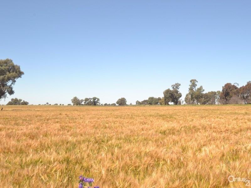 480 ‘Gardenvale’ RMB 480 Bunnaloo Via, Moama NSW 2731